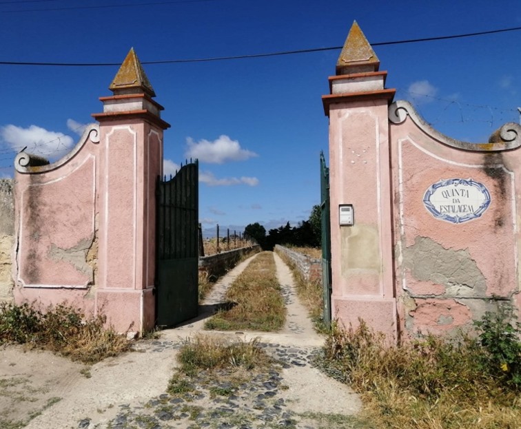 Bandadalem_QuintaEstalagem